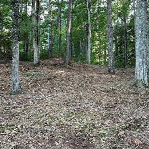 Photo #22 of Lot 4 Paddock Drive, Lancaster, Virginia 7.6 acres