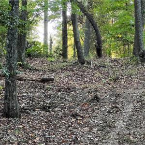 Photo #26 of Lot 4 Paddock Drive, Lancaster, Virginia 7.6 acres
