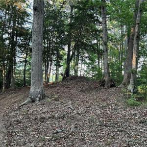 Photo #27 of Lot 4 Paddock Drive, Lancaster, Virginia 7.6 acres