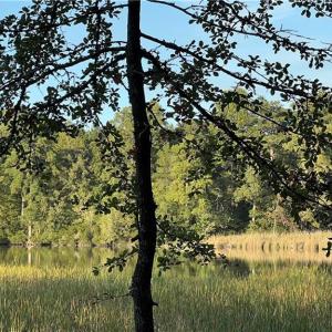 Photo #8 of Lot 4 Paddock Drive, Lancaster, Virginia 7.6 acres