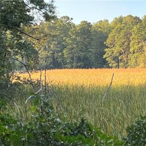 Photo #9 of Lot 4 Paddock Drive, Lancaster, Virginia 7.6 acres