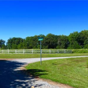 Paddock Drive - Lot 4 Waterfront
