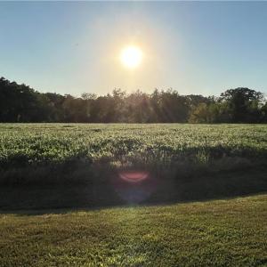 Photo #12 of Lot 4 Paddock Drive, Lancaster, Virginia 7.6 acres