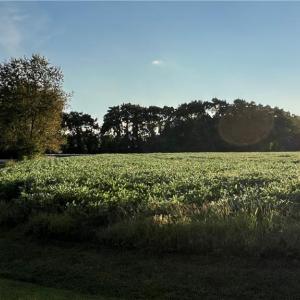 Photo #13 of Lot 4 Paddock Drive, Lancaster, Virginia 7.6 acres