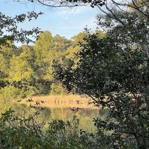 Photo #15 of Lot 4 Paddock Drive, Lancaster, Virginia 7.6 acres