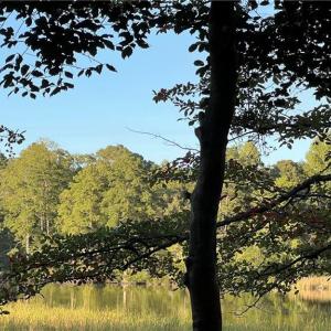 Photo #17 of Lot 4 Paddock Drive, Lancaster, Virginia 7.6 acres