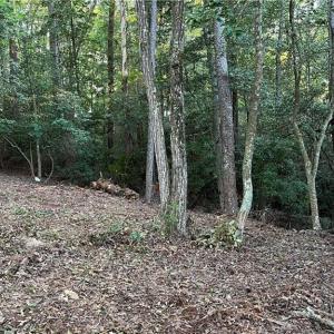 Photo #21 of Lot 4 Paddock Drive, Lancaster, Virginia 7.6 acres