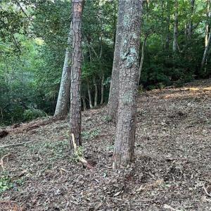 Photo #23 of Lot 4 Paddock Drive, Lancaster, Virginia 7.6 acres