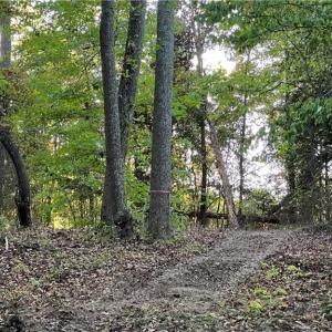 Photo #25 of Lot 4 Paddock Drive, Lancaster, Virginia 7.6 acres