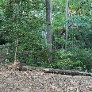 Photo #28 of Lot 4 Paddock Drive, Lancaster, Virginia 7.6 acres