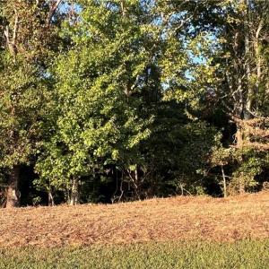 Photo #29 of Lot 4 Paddock Drive, Lancaster, Virginia 7.6 acres