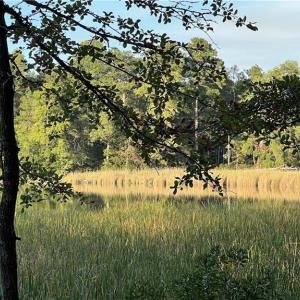 Photo #7 of Lot 4 Paddock Drive, Lancaster, Virginia 7.6 acres