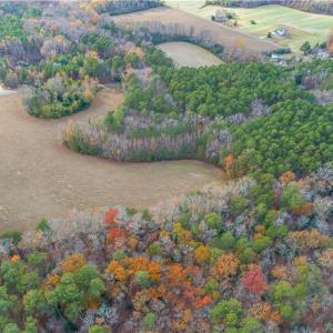 Photo #13 of 4667 Hickory Fork Road, Gloucester, Virginia 14.0 acres