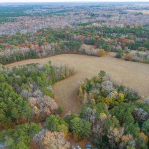Photo #10 of 4667 Hickory Fork Road, Gloucester, Virginia 14.0 acres