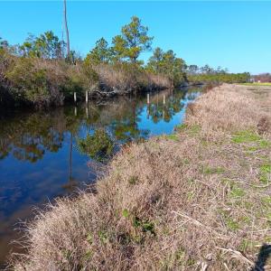 Photo #4 of RT 615 Parker Lane, Knotts Island, North Carolina 10.0 acres