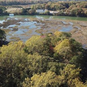 Photo #9 of L188 Raintree Circle, Suffolk, Virginia 0.5 acres