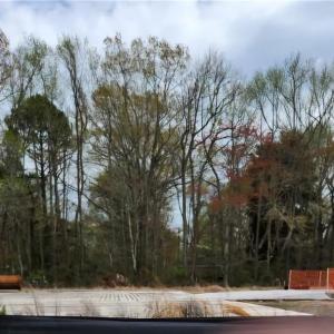 View from new potential entrance