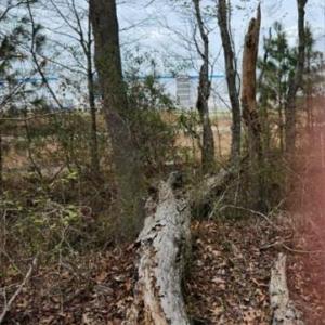 Photo #6 of 1700 Mayberry Drive, Virginia Beach, Virginia