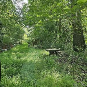 Heavily wooded