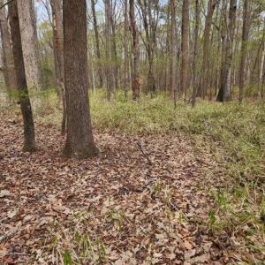 Photo #15 of 1700 Mayberry Drive, Virginia Beach, Virginia