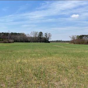 Photo #1 of 61 Holy Neck Road, Suffolk, Virginia 105.2 acres