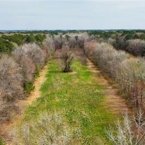 Photo #6 of 1069 Shillelagh Road, Chesapeake, Virginia 13.2 acres