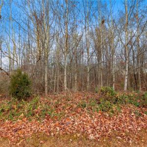 Photo #1 of 3525 Doral, Tobaccoville, NC 0.8 acres