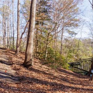 Photo #16 of Lot48 Oyster Cove Landing, Hartfield, Virginia 0.9 acres