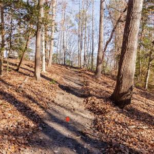 Photo #17 of Lot48 Oyster Cove Landing, Hartfield, Virginia 0.9 acres