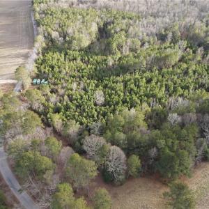 Photo #4 of 40ac Union Hill Road, Wakefield, Virginia 40.0 acres