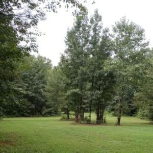 Photo #3 of 10243 Kimages Road, Charles City, Virginia 1.0 acres