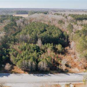 Photo #15 of 9+AC Butts Station Road, Chesapeake, Virginia 9.1 acres