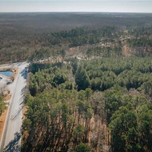Photo #4 of 9+AC Butts Station Road, Chesapeake, Virginia 9.1 acres