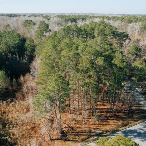 Photo #13 of 9+AC Butts Station Road, Chesapeake, Virginia 9.1 acres