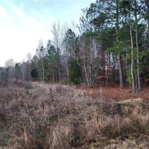 Photo #3 of SOLD property in 3900 Hog Island Road, Surry, Virginia 12.6 acres