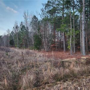 Photo #5 of SOLD property in 3900 Hog Island Road, Surry, Virginia 12.6 acres