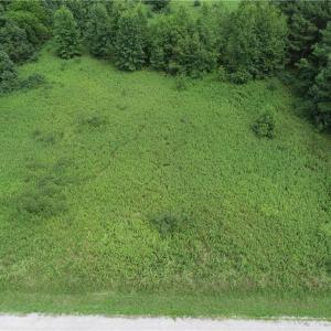 Photo #16 of SOLD property in Lot 12 Meredithville Drive, Brodnax, Virginia 3.6 acres