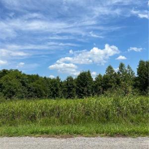 Photo #17 of SOLD property in Lot 12 Meredithville Drive, Brodnax, Virginia 3.6 acres
