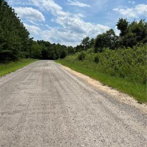 Photo #19 of SOLD property in Lot 12 Meredithville Drive, Brodnax, Virginia 3.6 acres