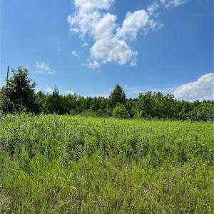 Photo #21 of SOLD property in Lot 12 Meredithville Drive, Brodnax, Virginia 3.6 acres