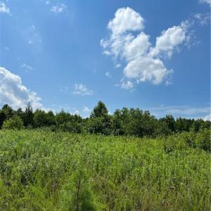 Photo #23 of SOLD property in Lot 12 Meredithville Drive, Brodnax, Virginia 3.6 acres
