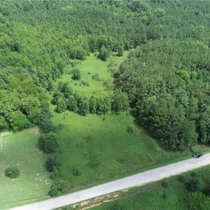 Photo #5 of SOLD property in Lot 12 Meredithville Drive, Brodnax, Virginia 3.6 acres