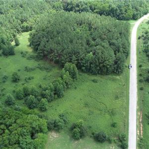 Photo #6 of SOLD property in Lot 12 Meredithville Drive, Brodnax, Virginia 3.6 acres