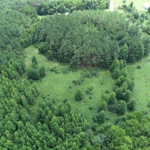 Photo #7 of SOLD property in Lot 12 Meredithville Drive, Brodnax, Virginia 3.6 acres