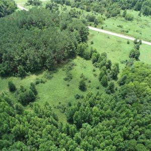 Photo #8 of SOLD property in Lot 12 Meredithville Drive, Brodnax, Virginia 3.6 acres