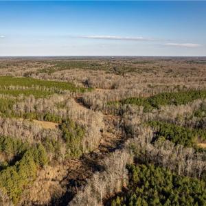 Photo #21 of 501 Racefield Drive, Toano, Virginia 130.0 acres