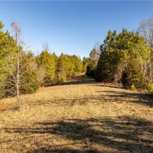 Photo #32 of 501 Racefield Drive, Toano, Virginia 130.0 acres