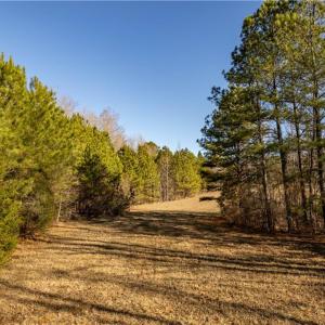 Photo #38 of 501 Racefield Drive, Toano, Virginia 130.0 acres