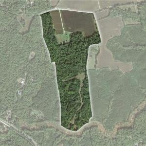 Photo #40 of 501 Racefield Drive, Toano, Virginia 130.0 acres