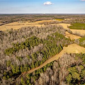 View of property from south looking north showing some of the open trails that access the property.